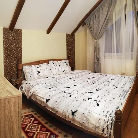Vila Vladimir Пояна-Брашов Экстерьер фото