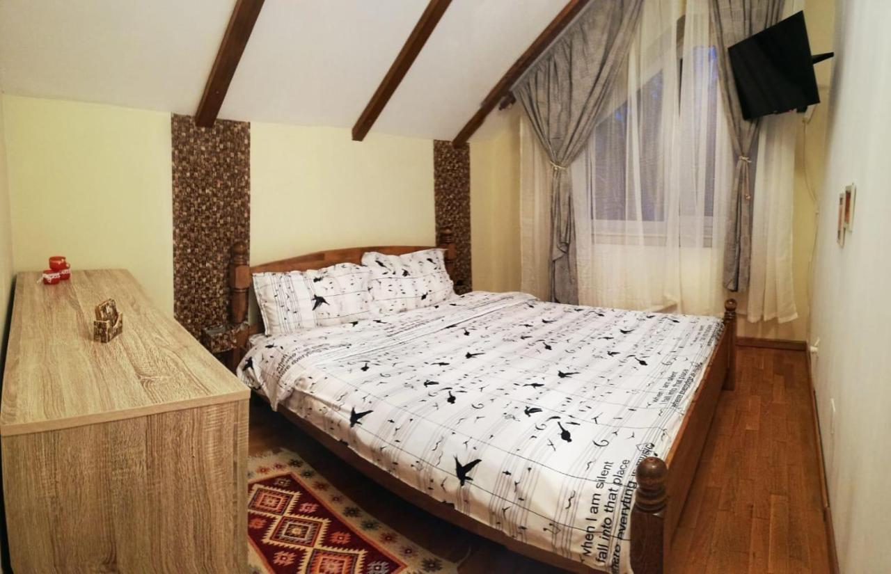 Vila Vladimir Пояна-Брашов Экстерьер фото