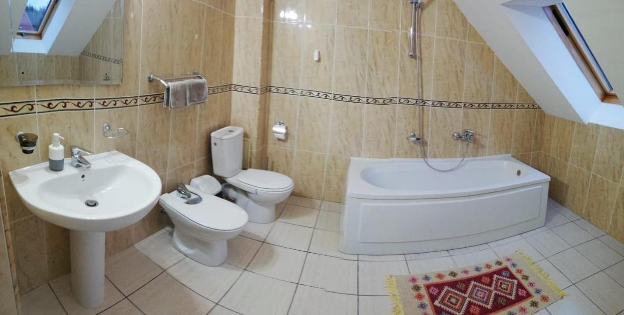 Vila Vladimir Пояна-Брашов Экстерьер фото